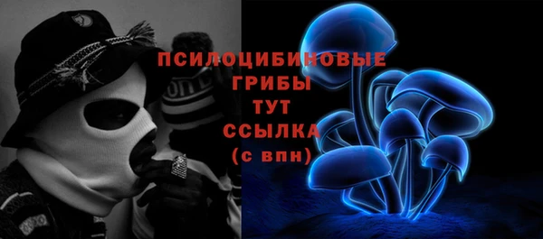 крисы Горнозаводск