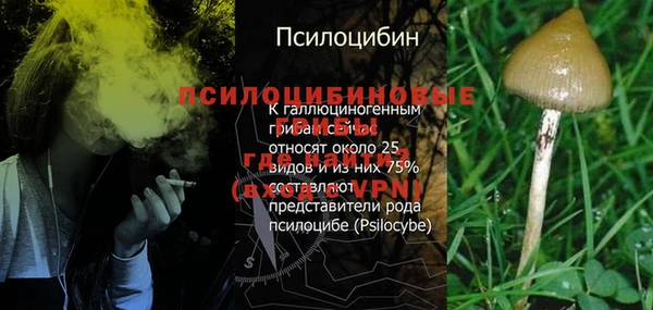 эйфоретик Горно-Алтайск