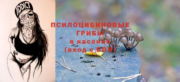 крисы Горнозаводск