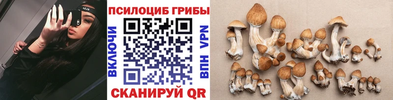 Галлюциногенные грибы мухоморы  Купить  Кириллов 
